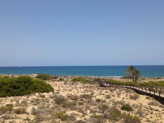 El servicio de salvamento y socorrismo en las playas de Elche seguirá activo en octubre