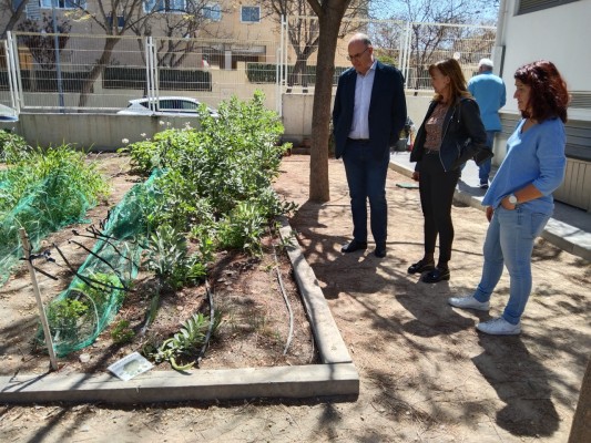 Alicante financia proyectos de promoción de la educación ambiental en 18 centros escolares
