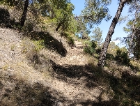 El Parque Regional de Sierra Espuña recuperará el sendero original del Estepar, deteriorado por las escorrentías