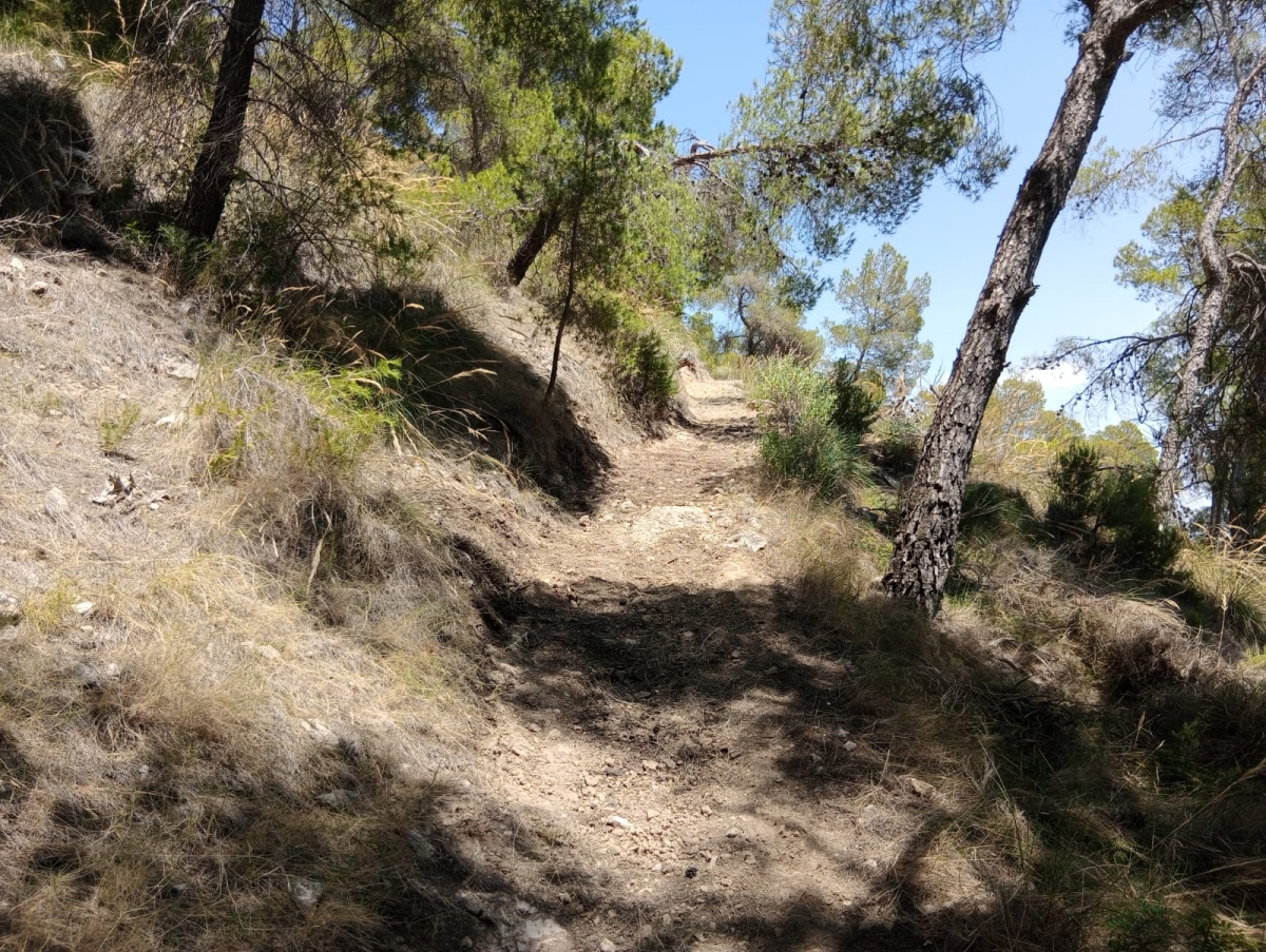 El Parque Regional de Sierra Espuña recuperará el sendero original del Estepar, deteriorado por las escorrentías