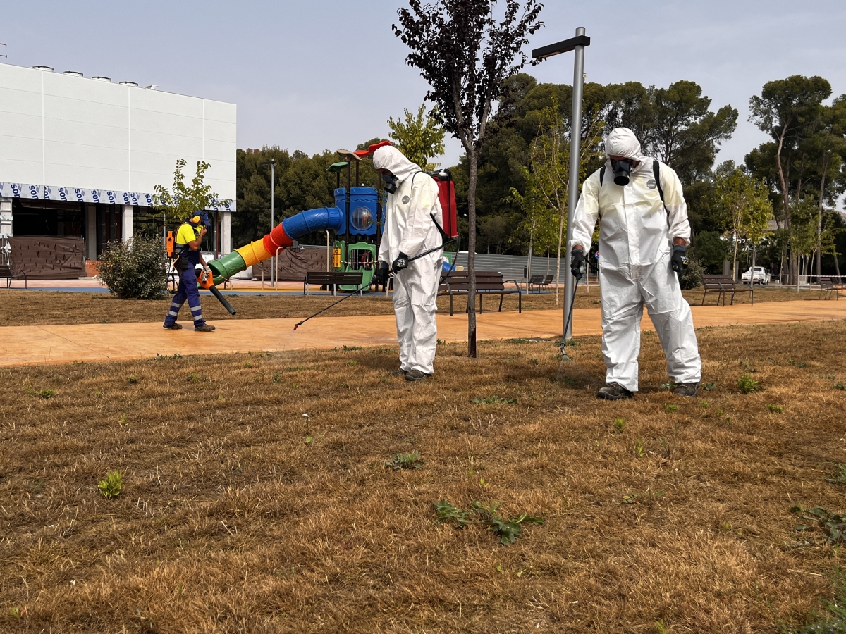 Petrer actúa de urgencia contra una plaga de orugas en la zona ajardinada de Luvi