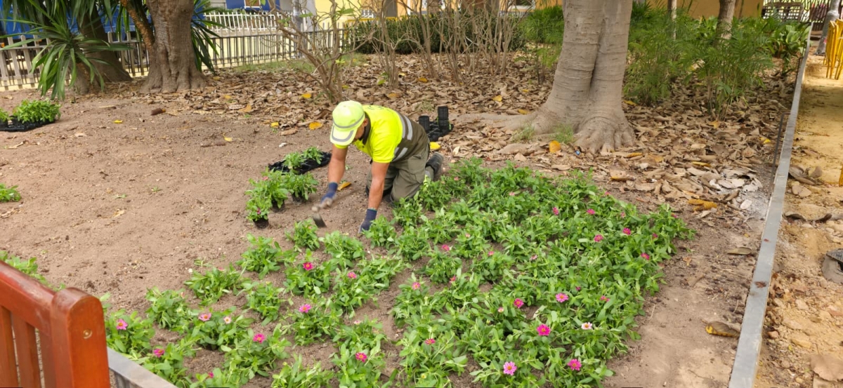 Cerca de 130.000 flores llenarán de color las zonas verdes de Murcia durante la Feria de Septiembre