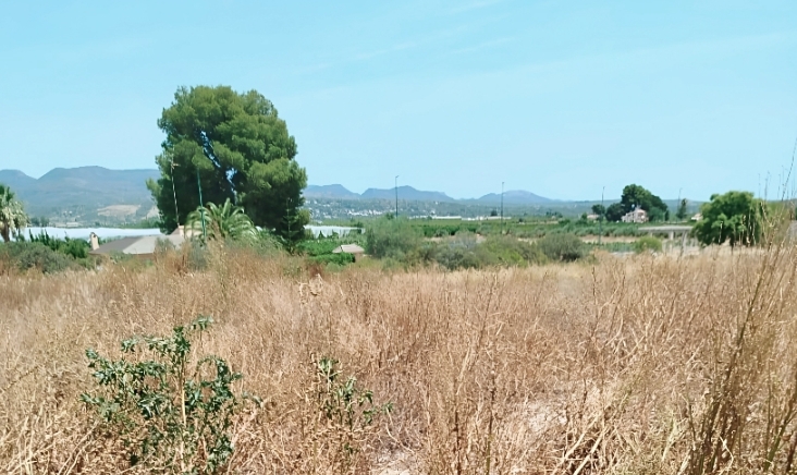 Llíria abre 738 expedientes sancionadores por incumplimiento de limpieza de parcelas y solares