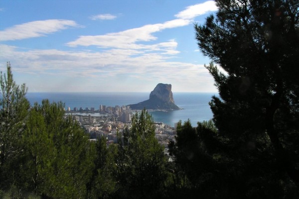 Calp implantará a partir de septiembre una 
