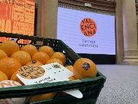 La Unió denuncia que la Generalitat mantiene "en el olvido" 1,42 millones de los presupuestos para promoción de cítricos