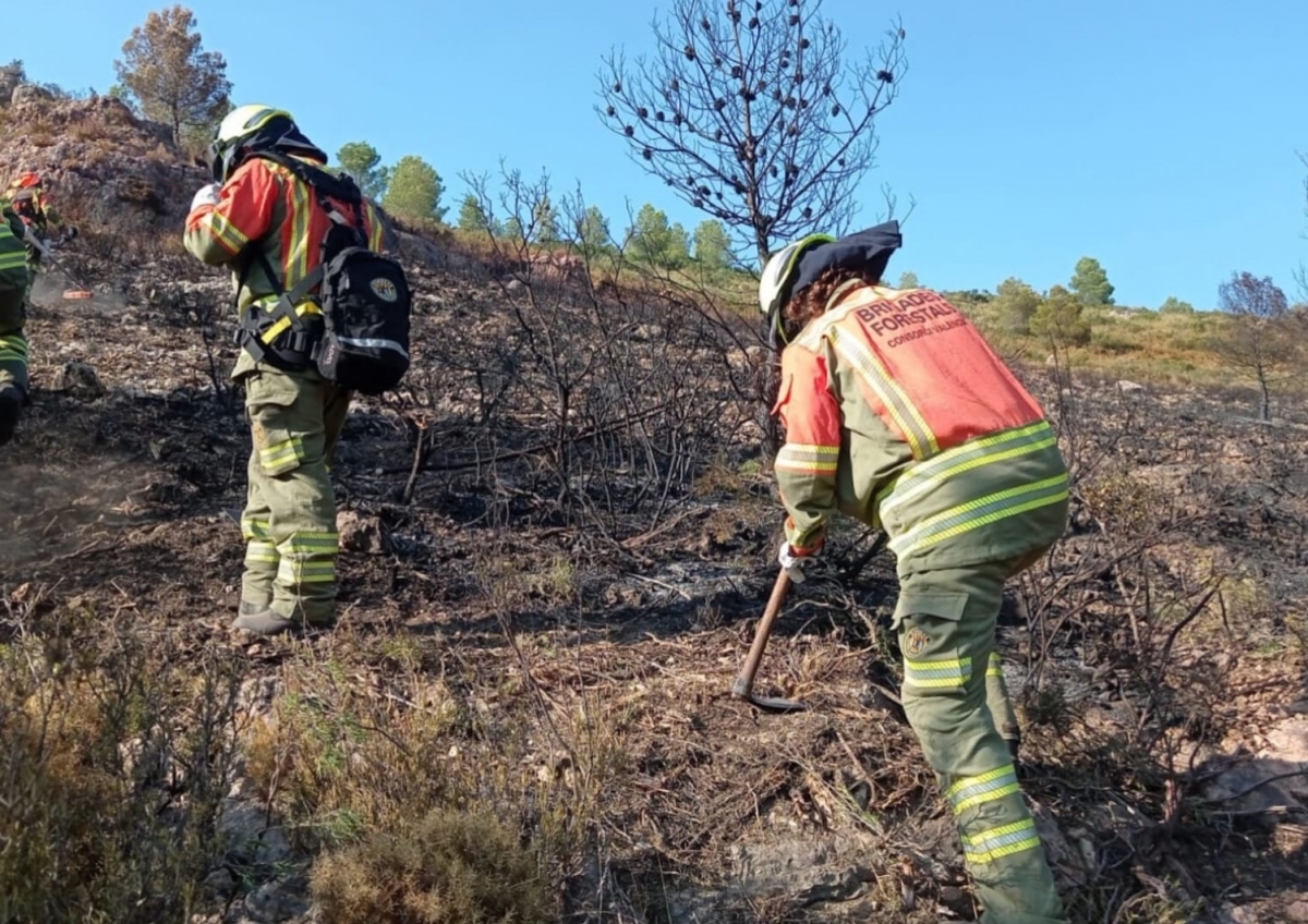 El Gobierno declara 15 zonas catastróficas en la Comunitat Valenciana por incendios forestales este verano