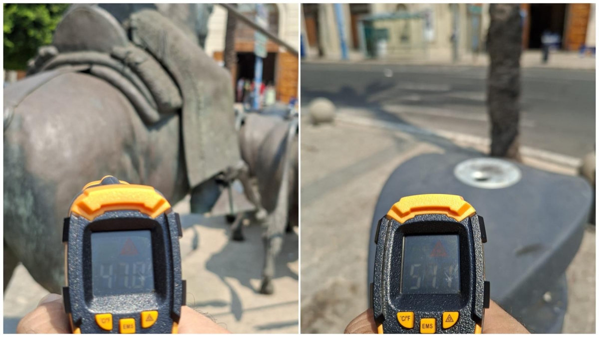 El PSOE de Alicante plantea un mapa de refugios climáticos y más arbolado frente al calor