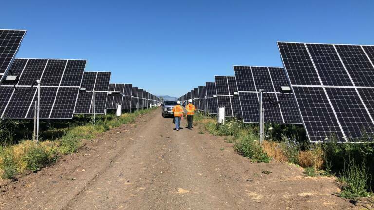 Lyg Alphabet modifica la primera planta solar de Castelló para minimizar molestias a los vecinos