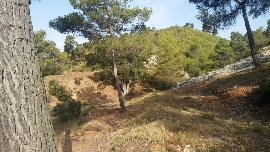 Alcoy toma medidas contra los incendios forestales: cortafuegos y mejora de camino forestal en Mariola