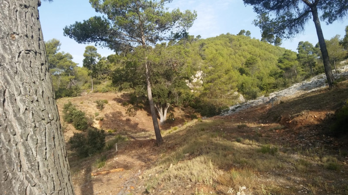 Cortafuegos en Montesol, en una imagen de archivo. - 