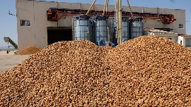 El sector agrícola de la Región se estremece ante el posible impacto de los aranceles de EEUU