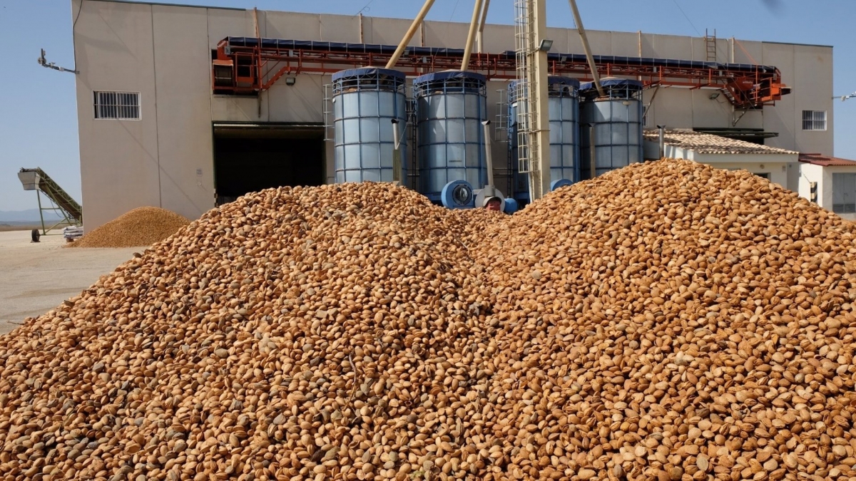 El sector agrícola de la Región se estremece ante el posible impacto de los aranceles de EEUU