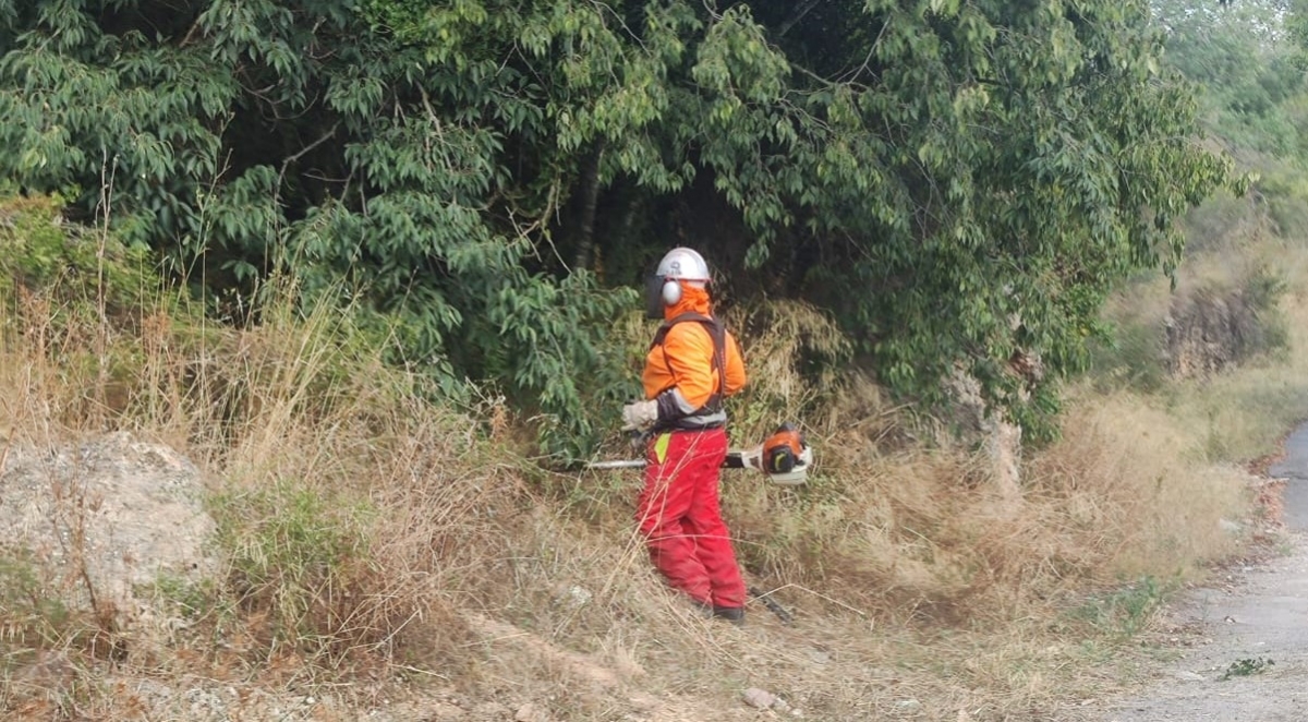 Soneja avanza en los trabajos de prevención de incendios en el Monte Hoyo con corta fuegos