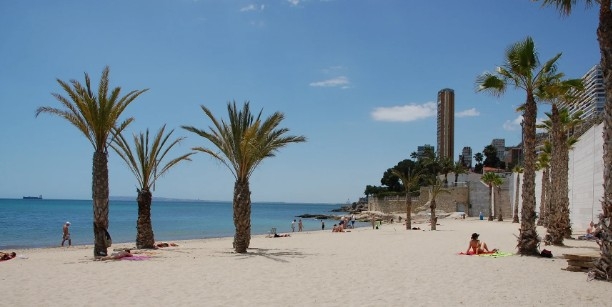 Alicante cierra al baño la playa de La Albufereta tras detectarse valores anómalos en el agua