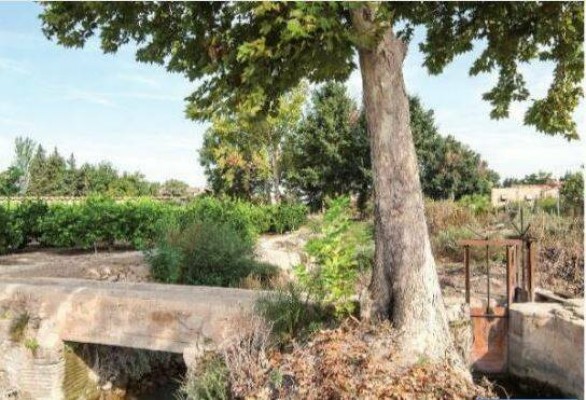 La Semana de la Huerta arranca este jueves con una exposición sobre la historia del riego en Murcia