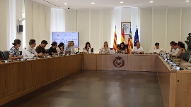 Vila-real organizará más de 200 actos con motivo de las fiestas en honor a la Virgen de Gracia