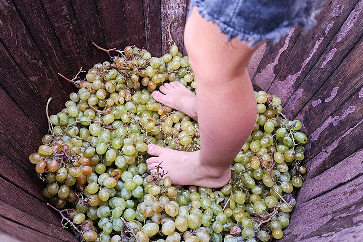 La Festa del Moscatell tiñe de aromas de vino la localidad de Teulada