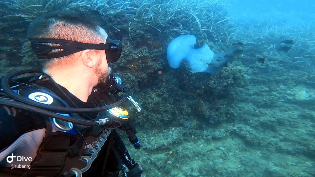  - Foto: cedida por Rubén Ruiz