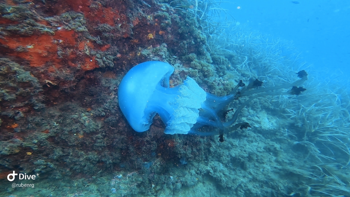  - Foto: cedida por Rubén Ruiz