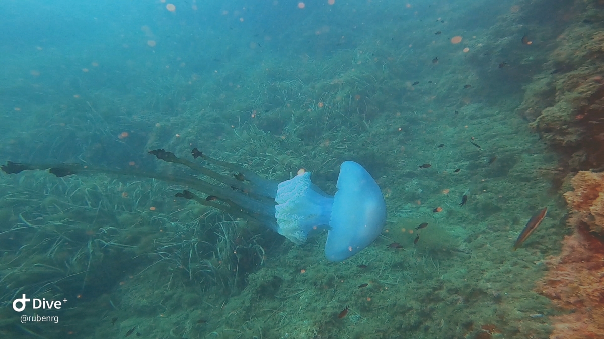  - Foto: cedida por Rubén Ruiz