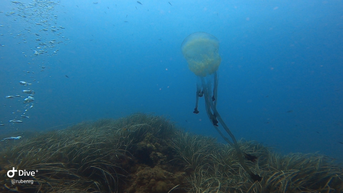  - Foto: cedida por Rubén Ruiz