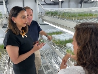 El 'superpomelo' murciano: el Imida desarrolla nuevas variedades que mejorarán la producción y tendrán más calidad