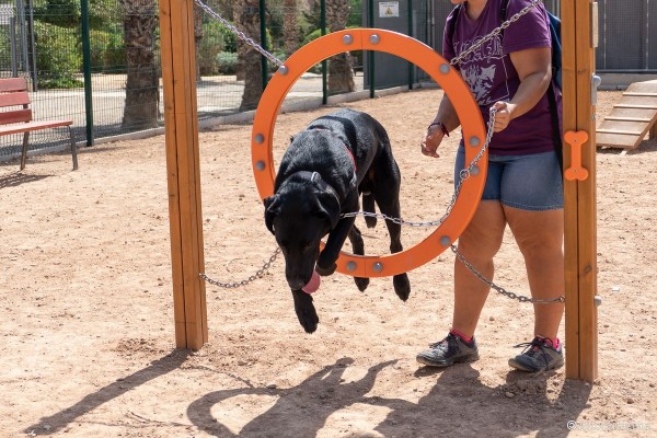 Cartagena contará con dos nuevos parques caninos en Canteras y la Rambla