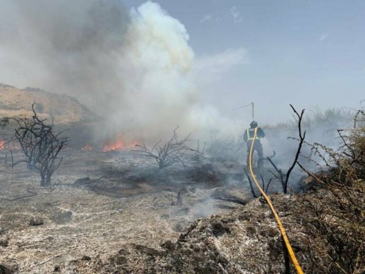 Arder sin desaparecer: la otra cara de los incendios