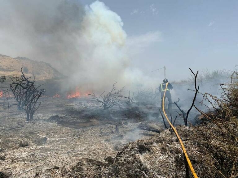 Arder sin desaparecer: la otra cara de los incendios