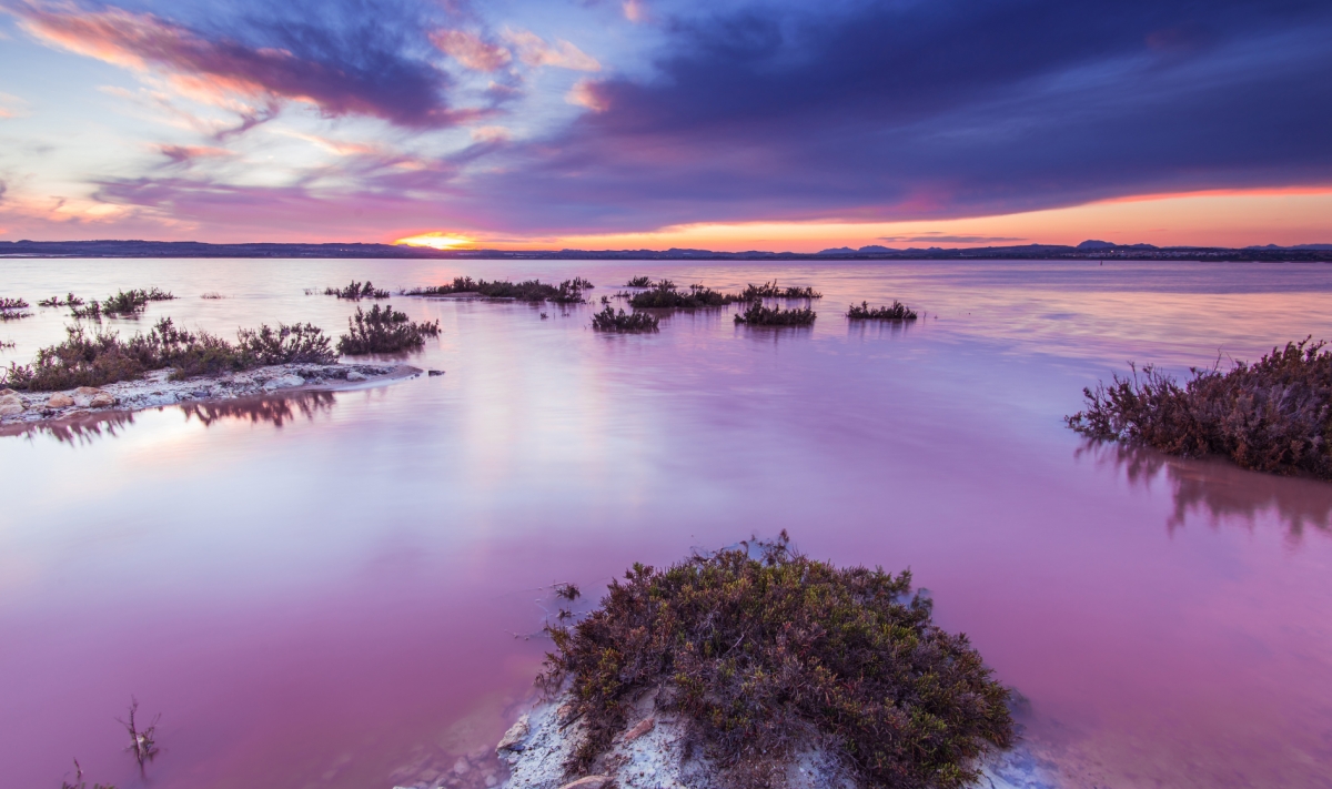 la laguna Rosa, en Torrevieja