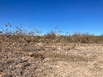 El relevo se complica en el campo de la Región