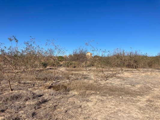El relevo se complica en el campo de la Región