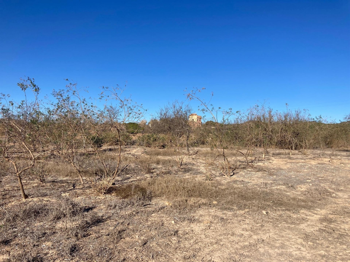 El relevo se complica en el campo de la Región