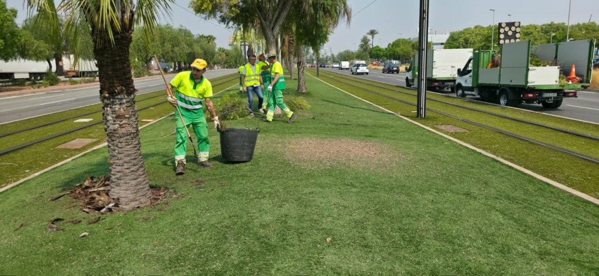 Murcia implanta riego inteligente en Juan de Borbón con control remoto y sensores climáticos