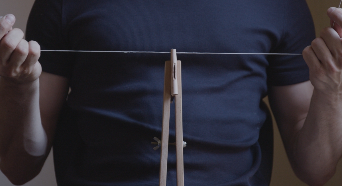 Disseny epífit que arrela a les capes de Roma