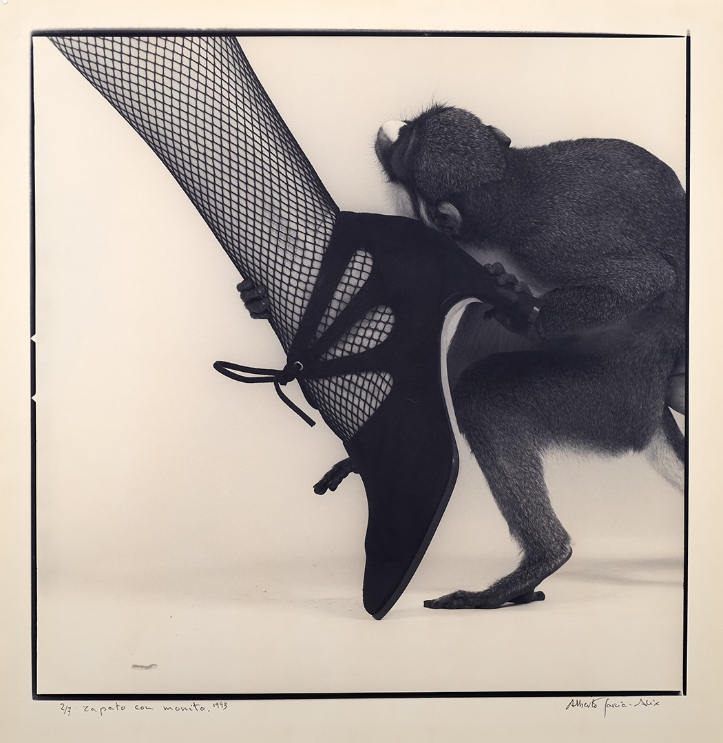 Mono con zapato, 1993