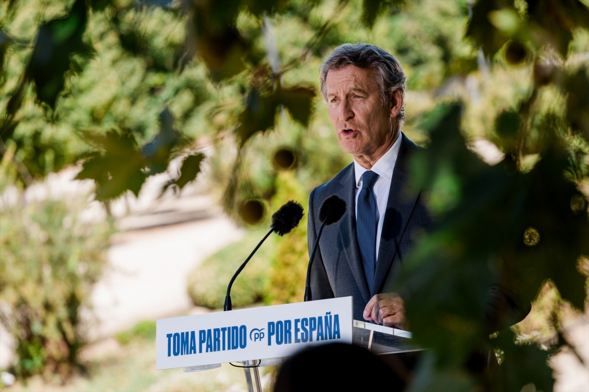 El presidente del Partido Popular, Alberto Núñez Feijóo.