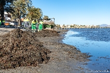 Cartagena encarga un plan a medida para cuidar las playas durante los próximos años