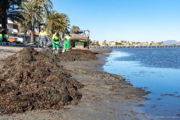 Cartagena encarga un plan a medida para cuidar las playas durante los próximos años