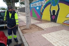 Castelló refuerza el tratamiento contra mosquitos en colegios e institutos con motivo de la 'vuelta al cole'