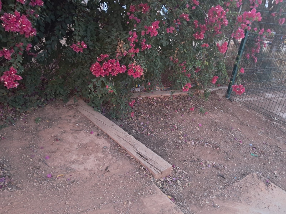  - Foto: Asociación de Vecinos de Los Nietos