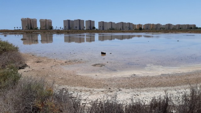 Los ecologistas de AHSA reclaman 