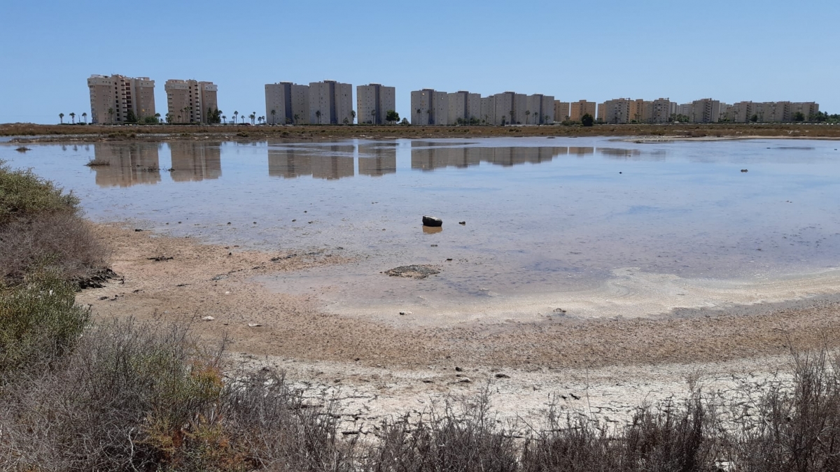 Los ecologistas de AHSA reclaman 