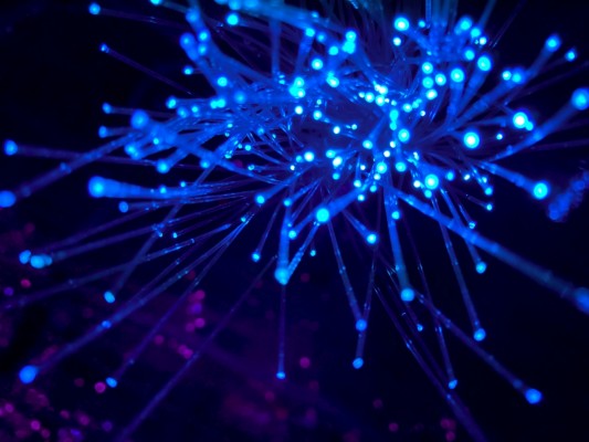 El internet más sano está de vuelta