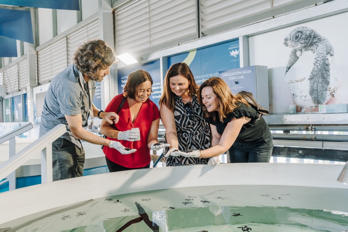 Representantes de Nules visitan el Oceanogràfic para ver la evolución de las tortugas nacidas en su playa