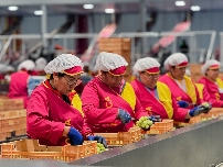 Cuando el currículum se le entrega a un asistente virtual por WhatsApp: la totanera Moyca recibe así más de 5.000 solicitudes de empleo