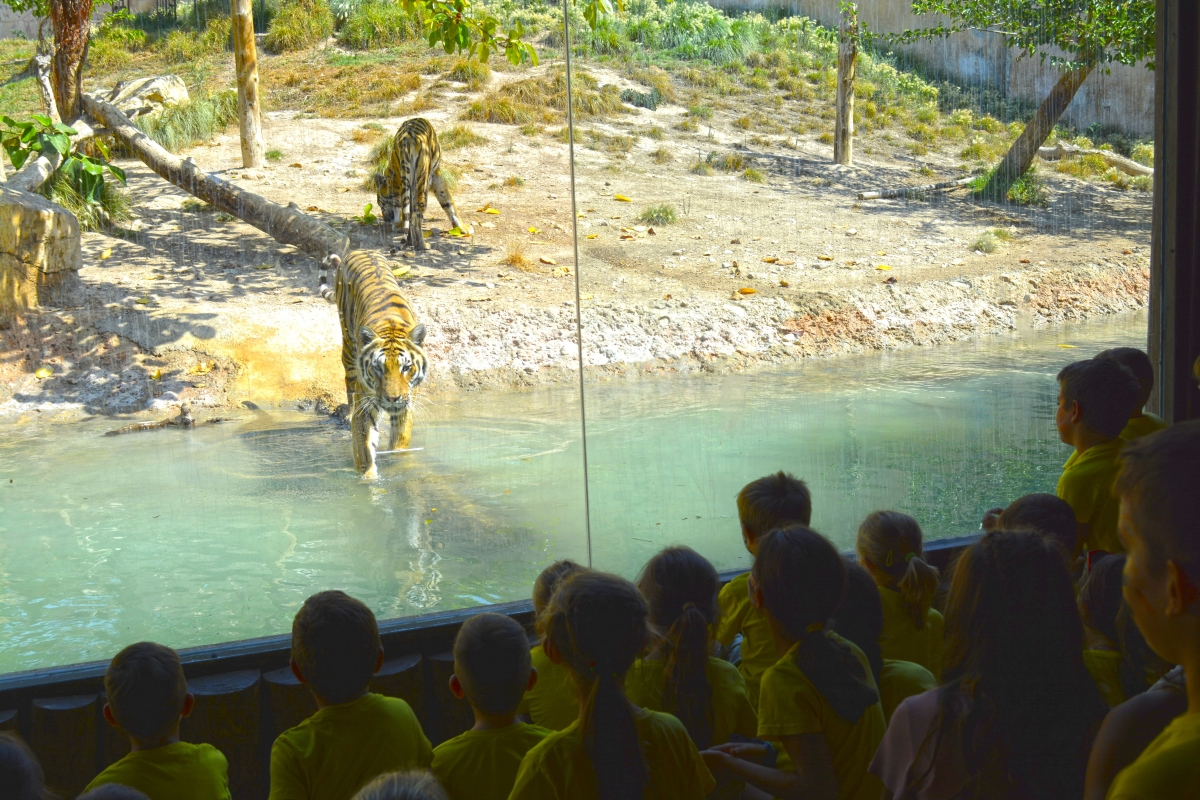 Terra Natura Benidorm diseña dos propuestas pedagógicas para visitas escolares en el curso 2025-2026