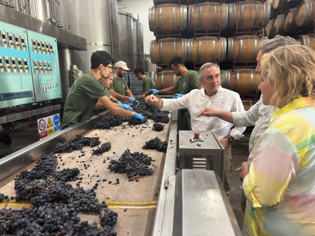 Agricultura destina más de 15,3 millones de euros en el sector vitivinícola para reforzar su papel estratégico