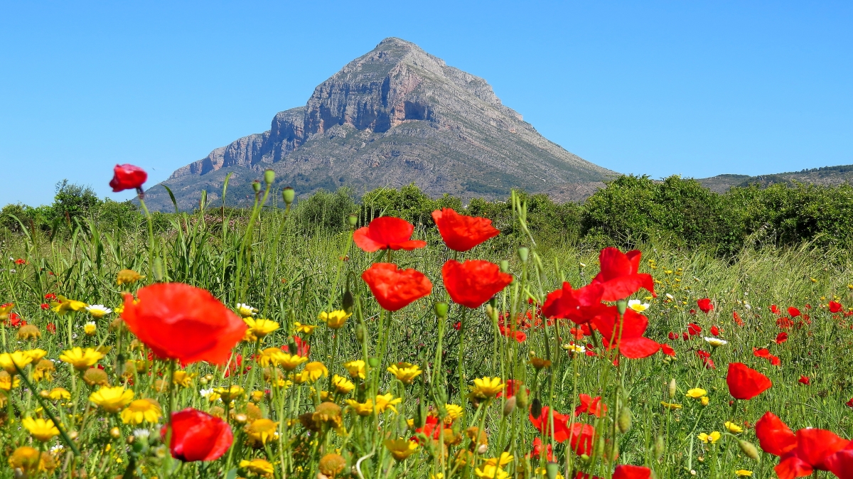 Monte Montgó, Xàbia - Foto: Toni Bolufer Monte Montgó, Xàbia