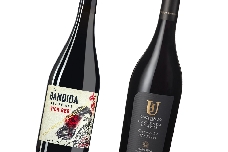 Anecoop Bodegas suma ocho nuevos oros a su palmarés internacional en Berliner Wein Trophy